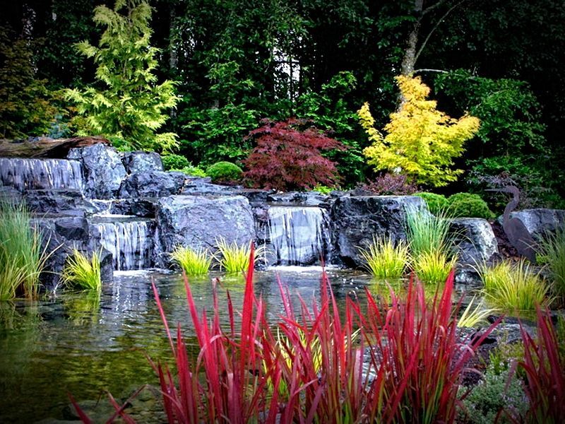 Custom water feature surrounded by planting